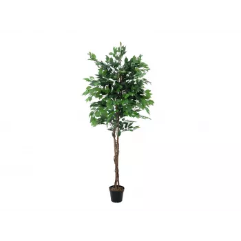 EUROPALMS Ficus Benjamina planta artificial multi-tronco, 210 cm 82506127