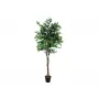 EUROPALMS Ficus Benjamina planta artificial multi-tronco, 210 cm 82506127