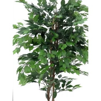 EUROPALMS Ficus Benjamina planta artificial multi-tronco, 210 cm 82506127