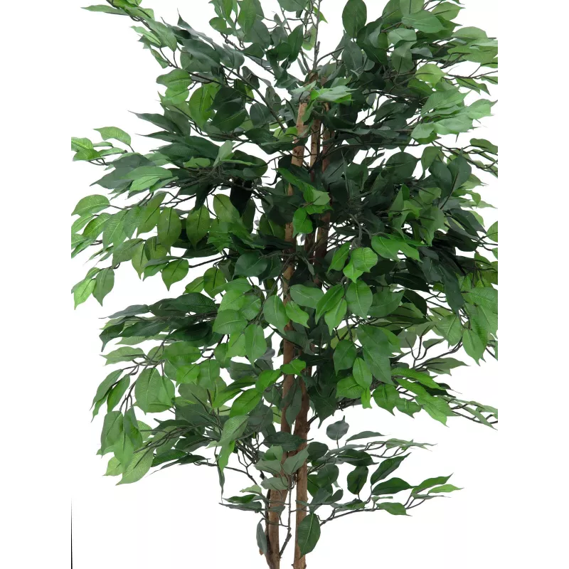 EUROPALMS Ficus Benjamina planta artificial multi-tronco, 210 cm 82506127