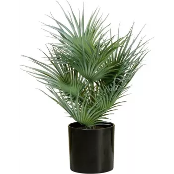 EUROPALMS Palmera de abanico artificial en maceta, 55 cm 82509401