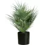 EUROPALMS Palmera de abanico artificial en maceta, 55 cm 82509401