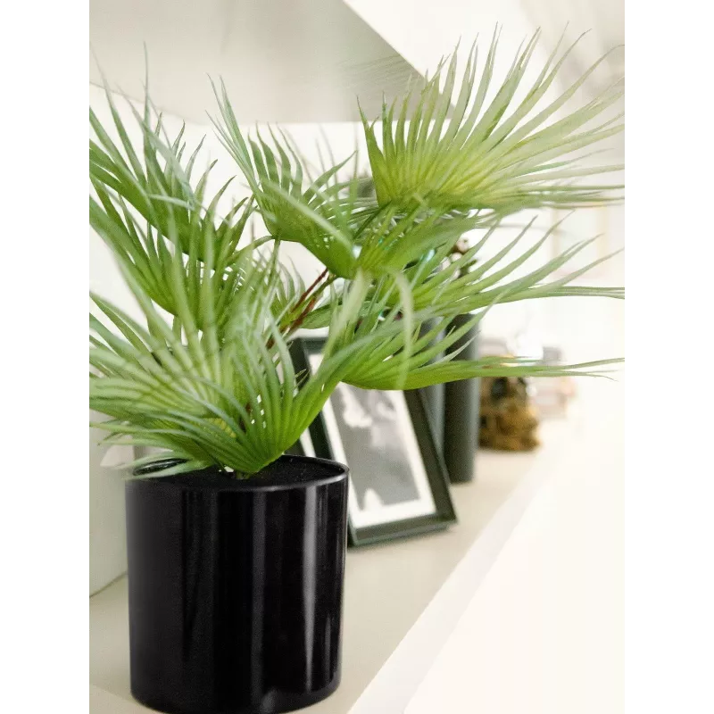 EUROPALMS Palmera de abanico artificial en maceta, 55 cm 82509401