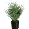EUROPALMS Palmera de abanico artificial en maceta, 55 cm 82509401