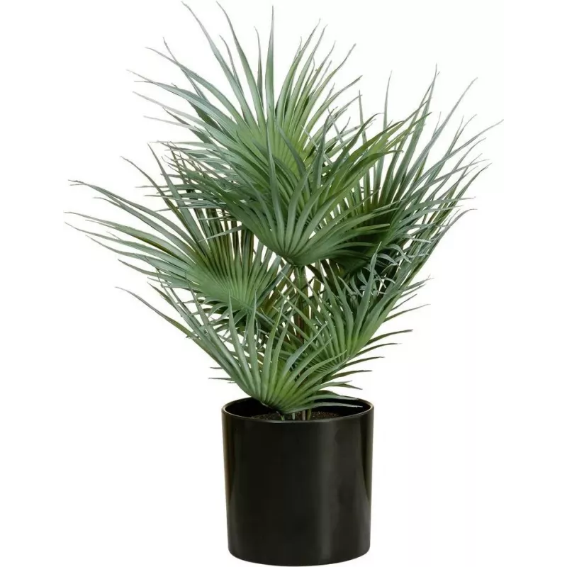 EUROPALMS Palmera de abanico artificial en maceta, 55 cm 82509401