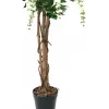 EUROPALMS Lluvia de oro planta artificial, blanca, 150 cm (82507105)