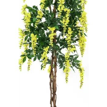 EUROPALMS Lluvia de oro planta artificial, amarilla, 150 cm 82507115