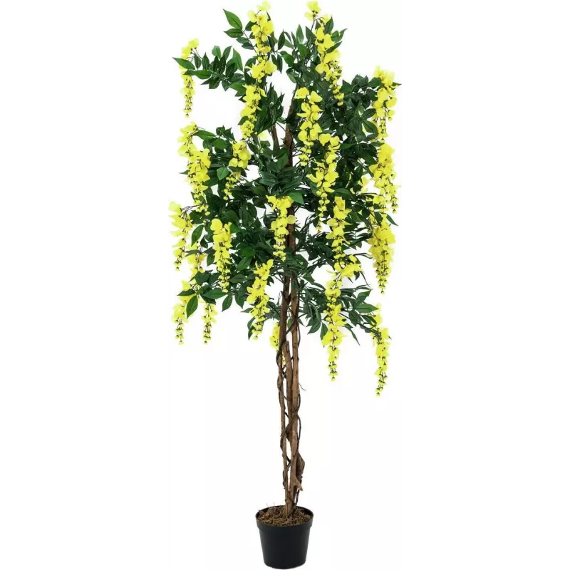 EUROPALMS Lluvia de oro planta artificial, amarilla, 150 cm 82507115