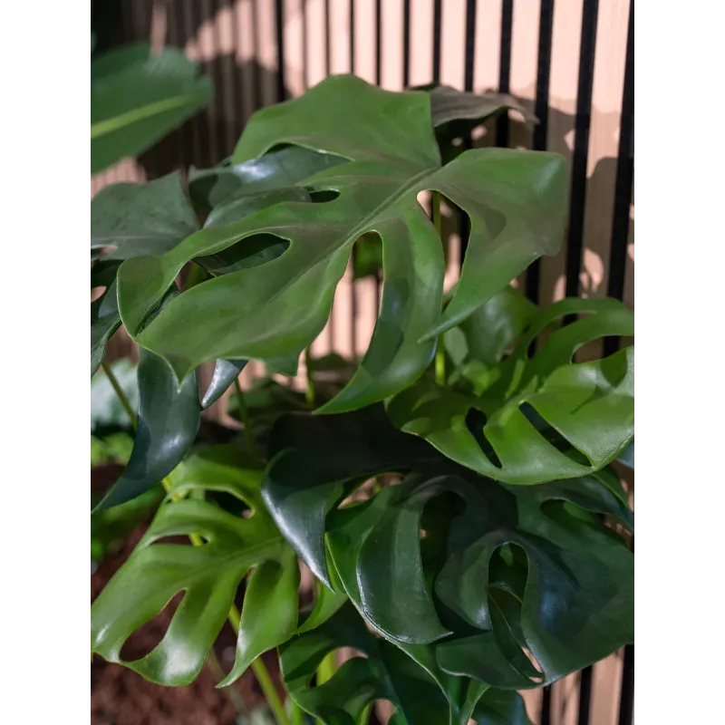EUROPALMS Monstera deliciosa planta artificial, 90 cm 82600220
