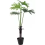 EUROPALMS Filodendro Split-Leaf planta artificial, 120 cm 82600222