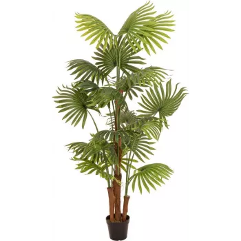 EUROPALMS Palmera de abanico artificial, 165 cm 82509305