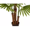 EUROPALMS Palmera de abanico artificial, 165 cm 82509305