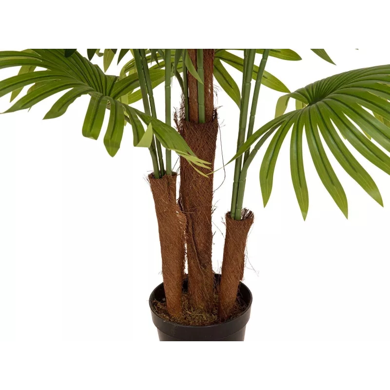 EUROPALMS Palmera de abanico artificial, 165 cm 82509305