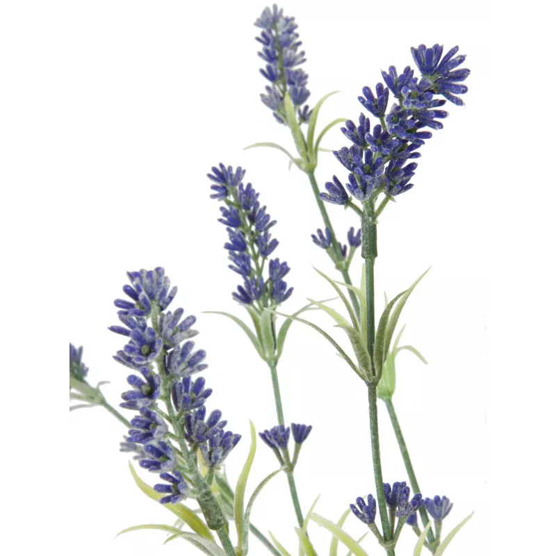 EUROPALMS Arbusto de lavanda, artificial, 61 cm 82600231