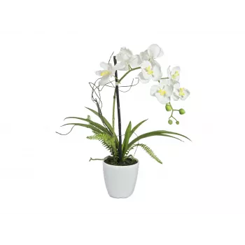 EUROPALMS Arreglo de orquídeas artificiales 1, en maceta, blanco-rosa, 60 cm 82530346
