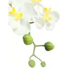 EUROPALMS Arreglo de orquídeas artificiales 1, en maceta, blanco-rosa, 60 cm 82530346