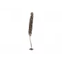 EUROPALMS Cacho Coco Palmera de coco artificial, 120-190 cm, tronco de madera real, 12 hojas, interior 83502349
