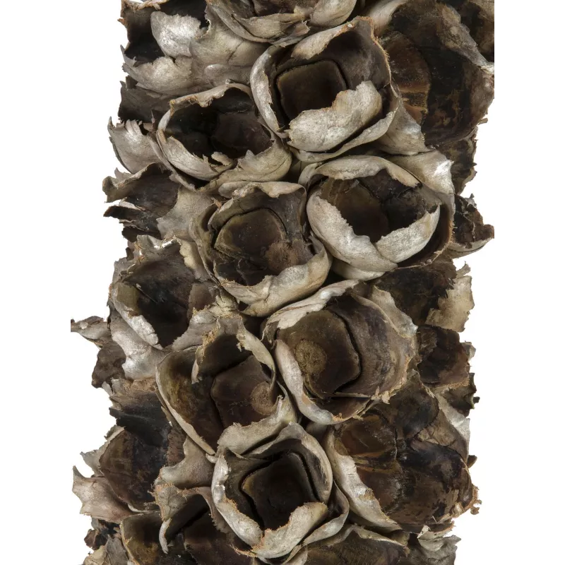 EUROPALMS Cacho Coco Palmera de coco artificial, 120-190 cm, tronco de madera real, 12 hojas, interior 83502349