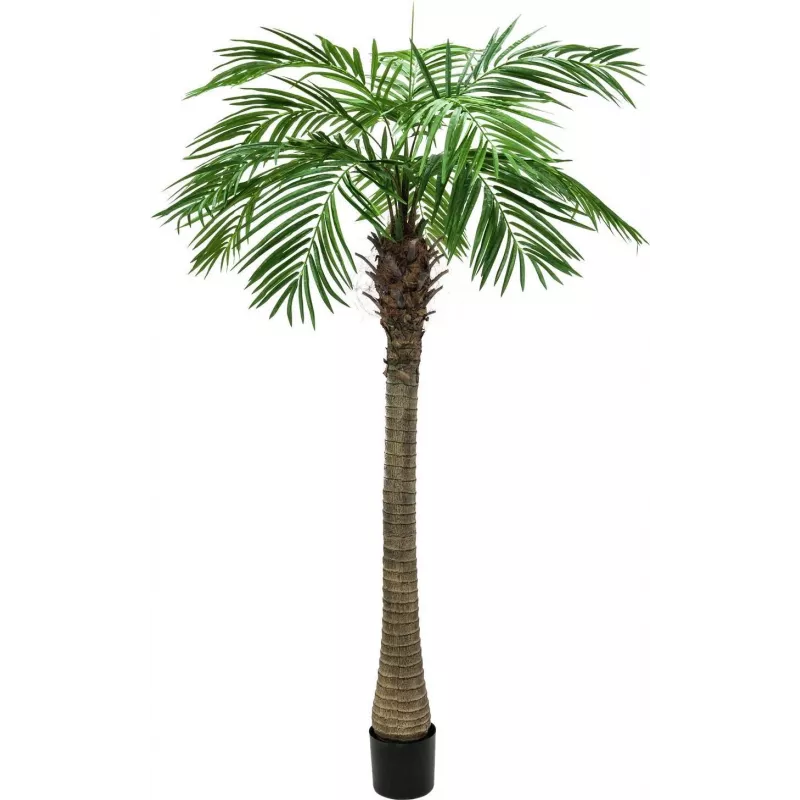 EUROPALMS Luxor Palmera fénix artificial, 150 cm, verde 82510720