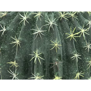 EUROPALMS cactus esférico artificial, 34 cm 82600063