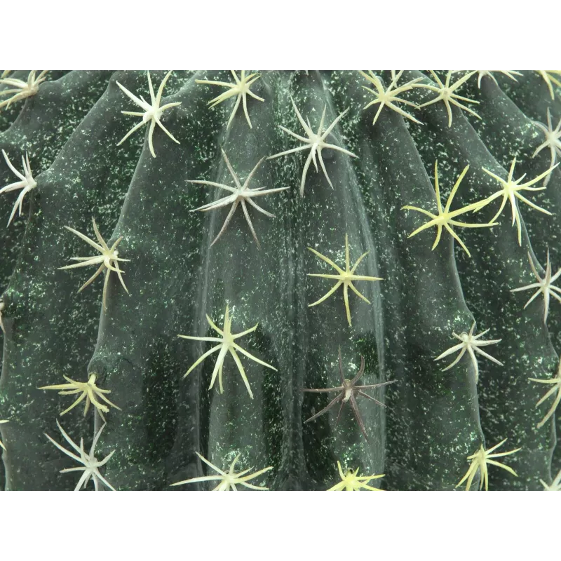 EUROPALMS cactus bola artificial, 34 cm 82600063