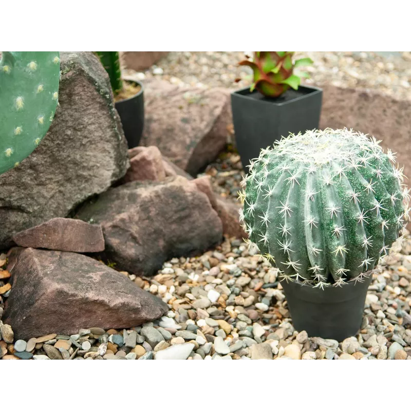 EUROPALMS cactus bola artificial, 34 cm 82600063