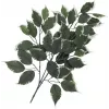 EUROPALMS rama de ficus artificial, paquete de 12 82506100