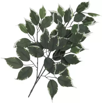 EUROPALMS rama de ficus artificial, paquete de 12 82506100