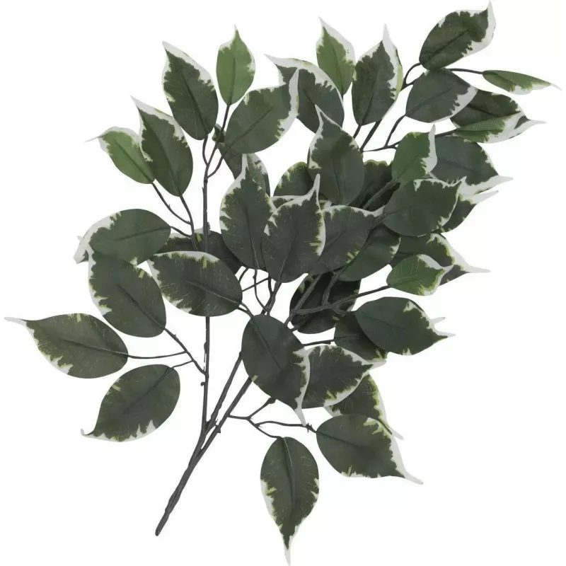 EUROPALMS rama de ficus artificial, paquete de 12 82506100