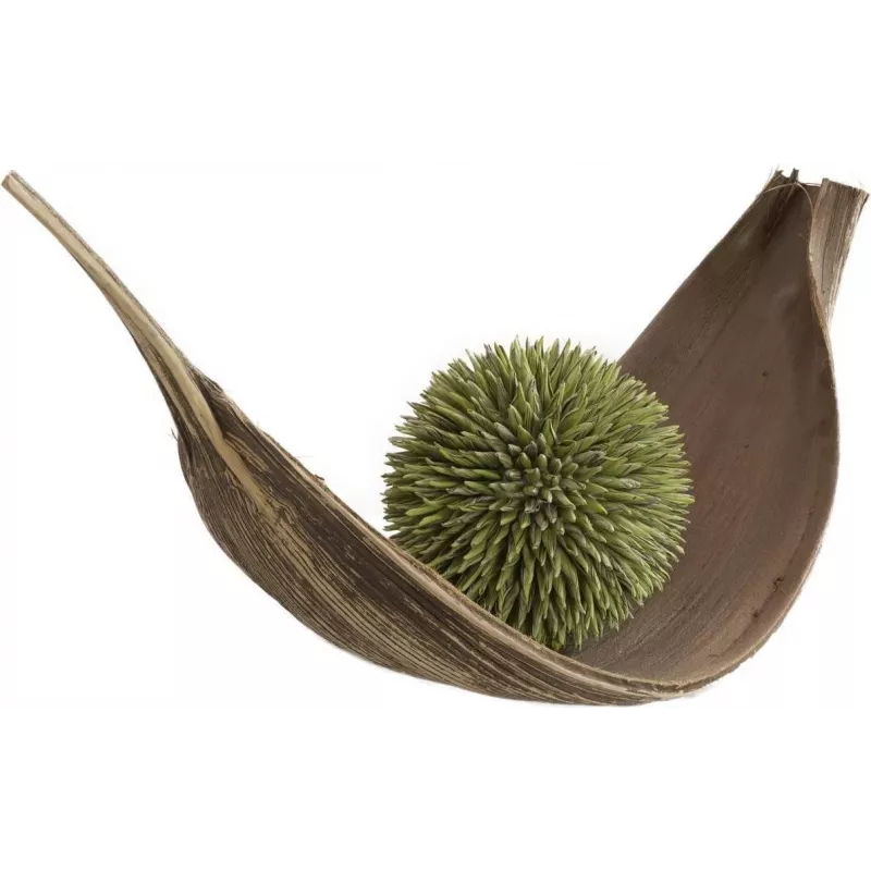 EUROPALMS Bola de suculentas (EVA), planta artificial, verde, 20cm 82531071