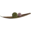 EUROPALMS Bola de suculentas (EVA), planta artificial, verde, 20cm 82531071