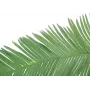 EUROPALMS Hoja de palmera real de coco artificial, 180cm 82509847
