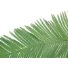EUROPALMS Hoja de palmera real de coco artificial, 180cm 82509847