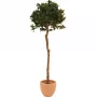 EUROPALMS Árbol de bola de laurel artificial, 180 cm 82506946