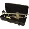 DIMAVERY TP-10 Trompeta en si bemol, lacado dorado 26503100