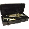 DIMAVERY TP-10 Trompeta en si bemol, lacado dorado 26503100