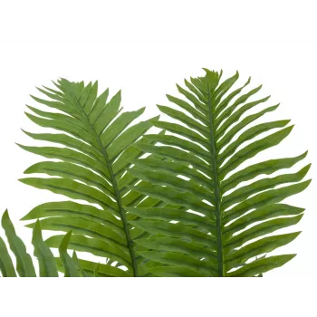 EUROPALMS Palmera cica artificial, 70 cm 82509604