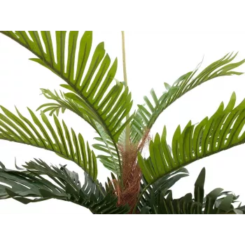 EUROPALMS palmera kentia artificial, 150 cm 82511366