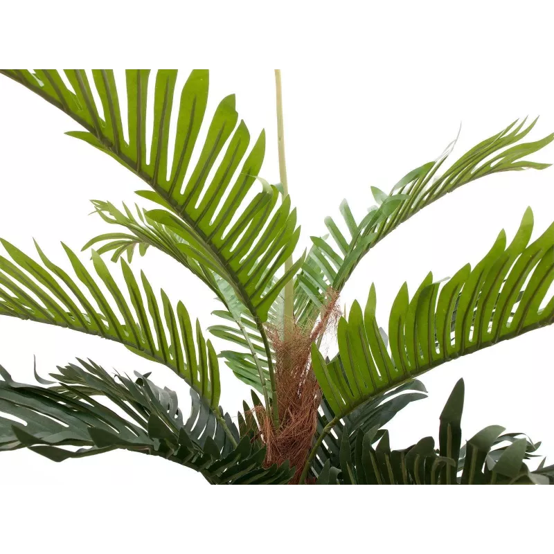 EUROPALMS palmera kentia artificial, 150 cm 82511366