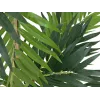 EUROPALMS Planta artificial palmera, 150 cm 82509495