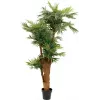 EUROPALMS palmera areca artificial 170cm 82509408