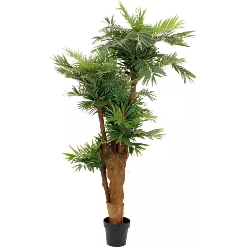 EUROPALMS palmera areca artificial 170cm 82509408