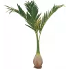 EUROPALMS palmera Phoenix planta artificial, 240cm 82511353