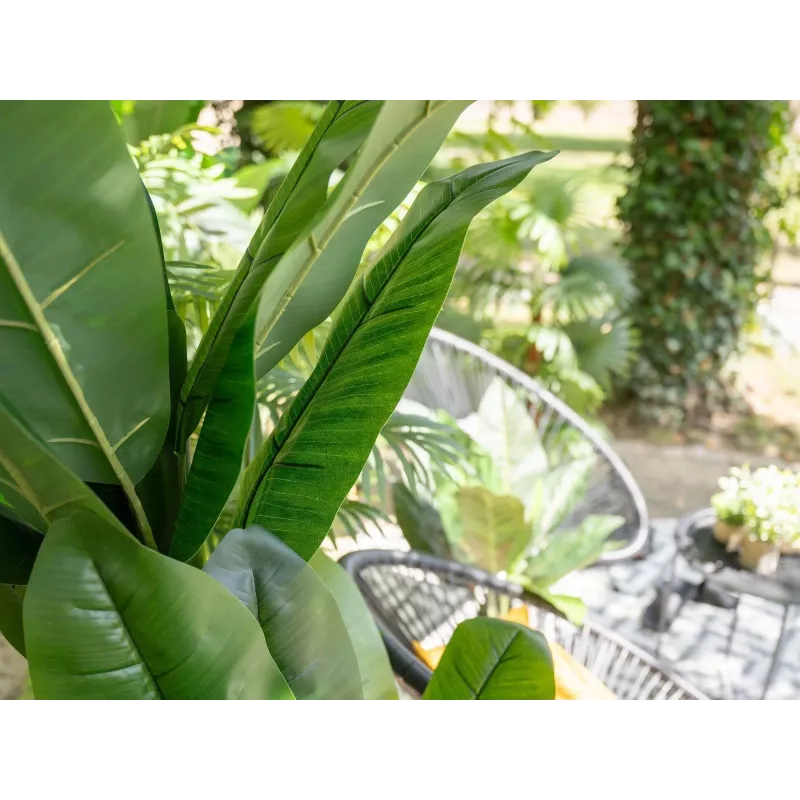 EUROPALMS bananero artificial, 210 cm 82509507