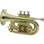 DIMAVERY TP-300 trompeta de bolsillo en Bb, lacado dorado 26503720