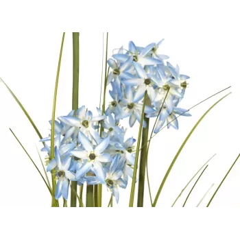 EUROPALMS planta artificial de hierba allium, azul, 120 cm 82600168