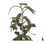 EUROPALMS Olivo artificial, 68 cm, hojas verdes, maceta negra 82506421