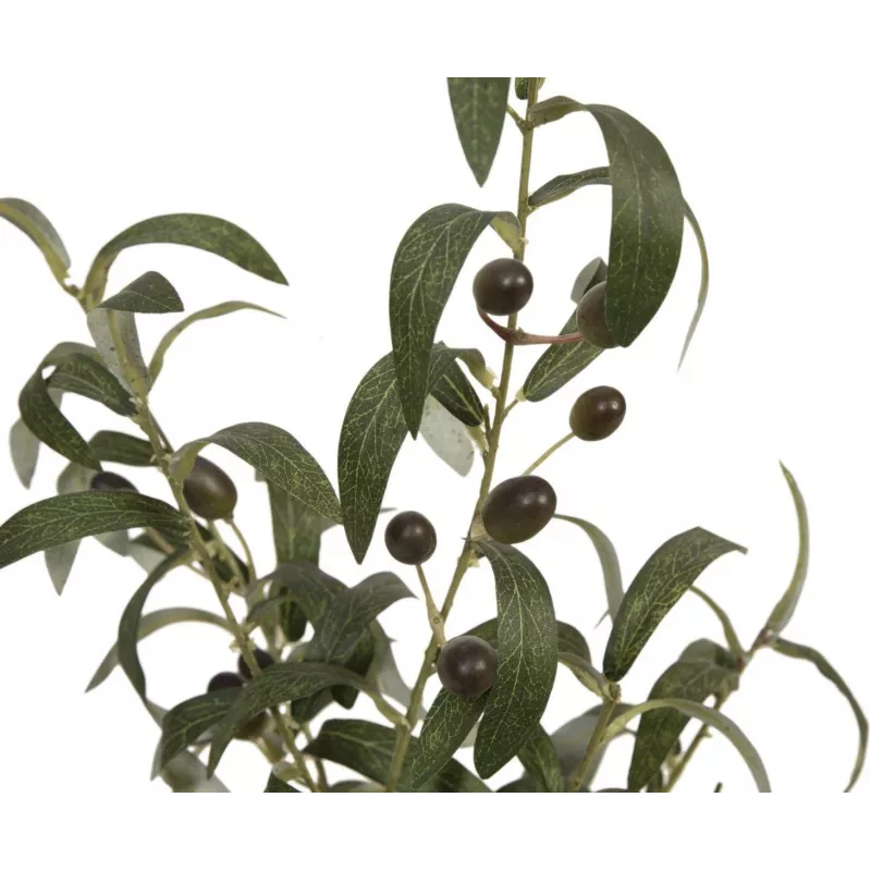 EUROPALMS Olivo artificial, 68 cm, hojas verdes, maceta negra 82506421
