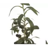 EUROPALMS Olivo artificial, 68 cm, hojas verdes, maceta negra 82506421