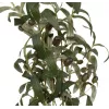 EUROPALMS Olivo artificial, 104 cm 82506423